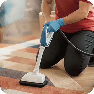 Carpet Deep Cleaning