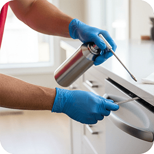 Pest Control for Your Family’s Safety 